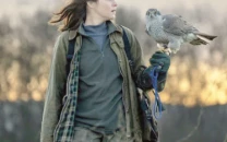 when a hawk takes the lead when a hawk takes the lead