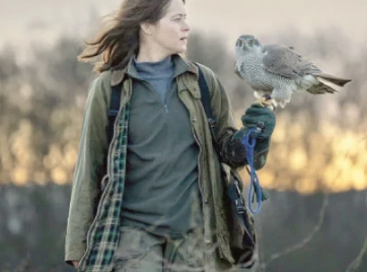 when a hawk takes the lead