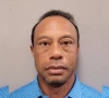 tiger woods arrested charged with dui