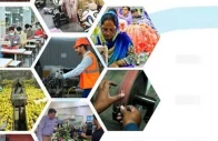 institutional backing urged for msmes