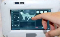 portable digital x ray service launched for wildlife