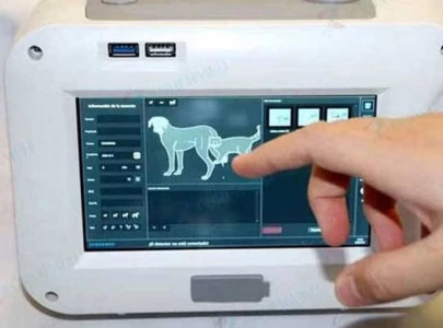 portable digital x ray service launched for wildlife portable digital x ray service launched for wildlife