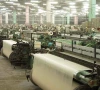 coordinated asia pacific textile strategy proposed