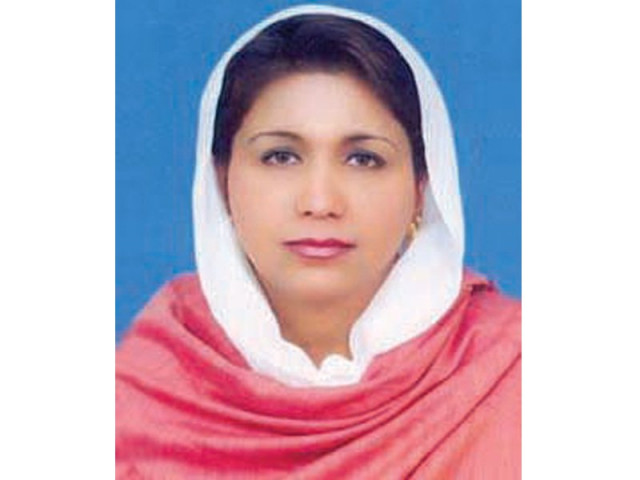 we always have to hear taunts that you are not directly elected says dr faiza rashid we always have to hear taunts that you are not directly elected says dr faiza rashid
