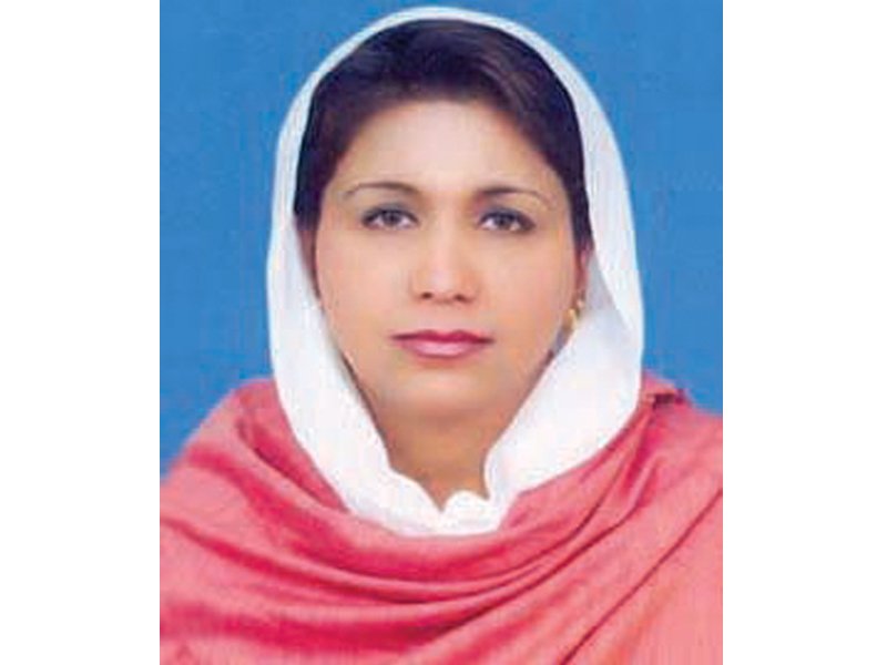we always have to hear taunts that you are not directly elected says dr faiza rashid
