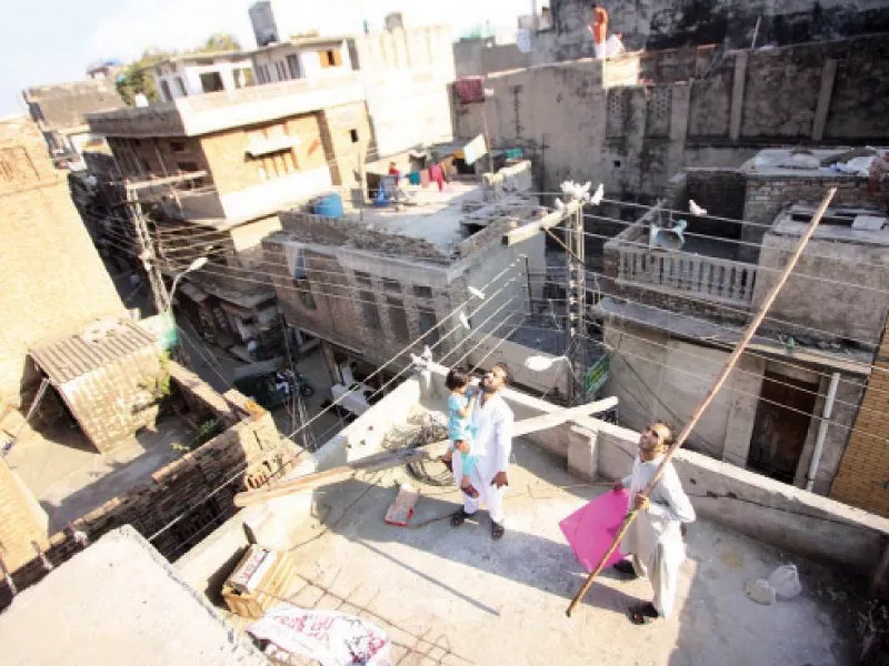 most other injuries were cuts caused by the chemical treated kite string photo online most other injuries were cuts caused by the chemical treated kite string photo online