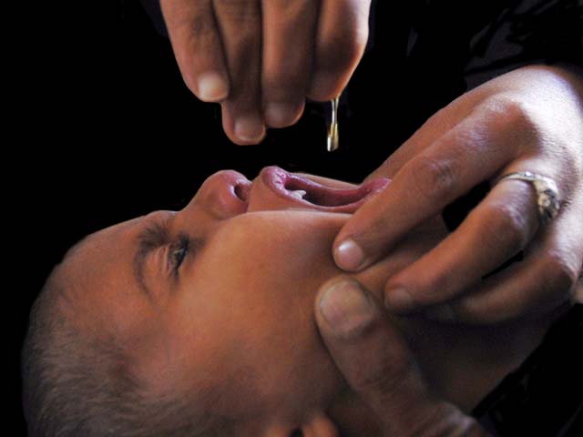 a child being immunised with anti polio medicine naz photo file