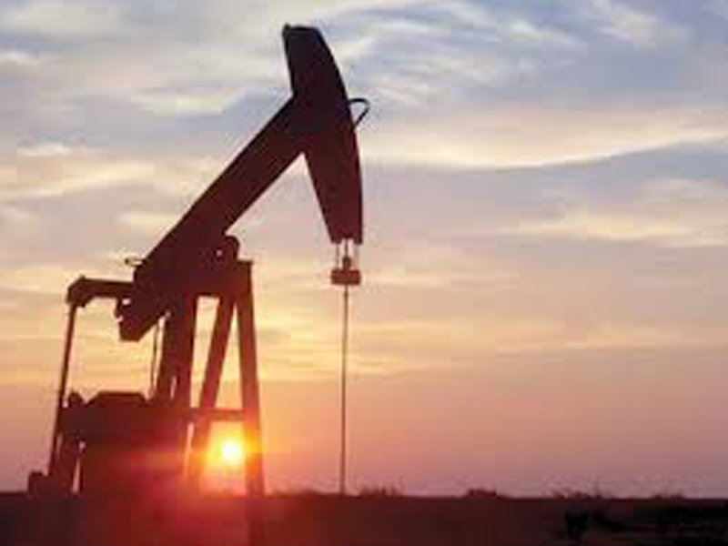 the petroleum ministry had offered 58 exploration blocks in the latest bidding round