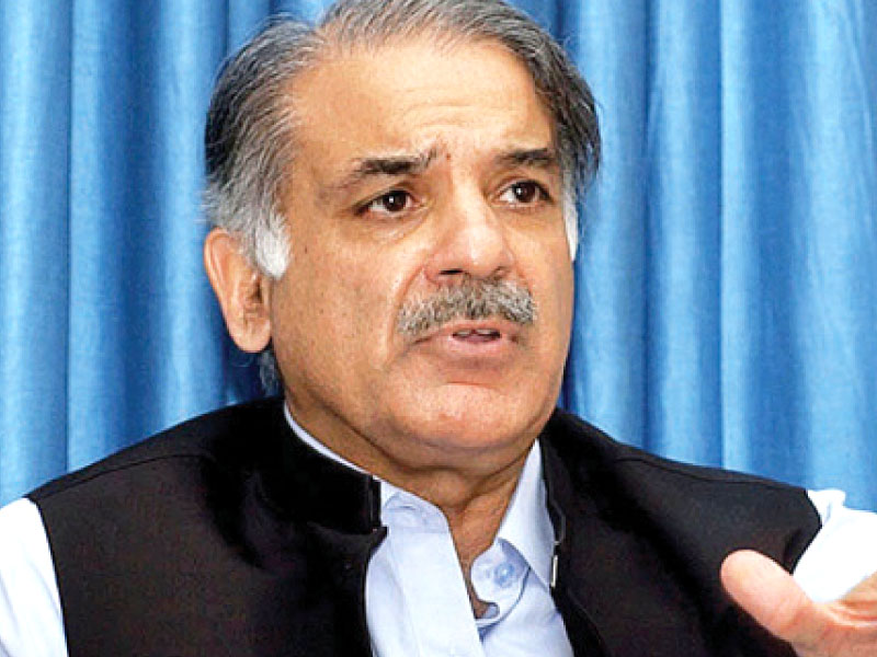 file photo of punjab chief minister shahbaz sharif photo file