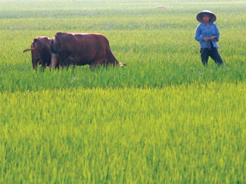 scarred by war and stifled by communism the vietnamese are now looking to the future