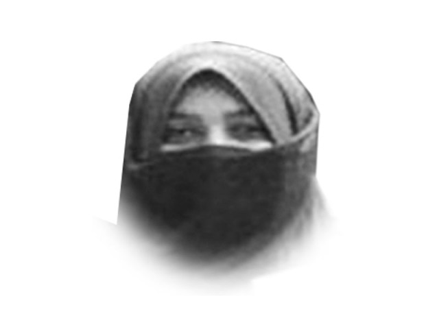 the writer teaches literature islamic studies and sociology in lahore she is also a social worker leading a project for virtual education for underprivileged schoolchildren the writer teaches literature islamic studies and sociology in lahore she is also a social worker leading a project for virtual education for underprivileged schoolchildren