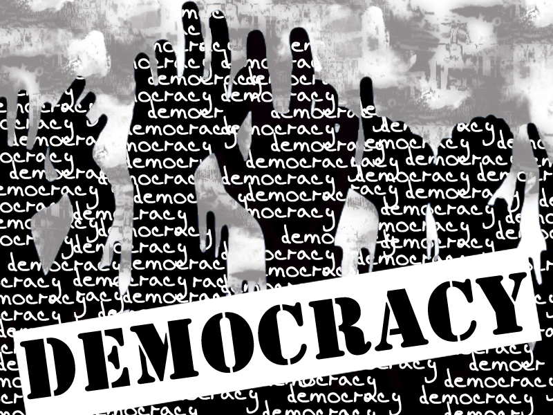 it takes a long time for democratic institutions to be built and start functioning within the scope and limits envisaged for each one under the constitution design sunara nizami