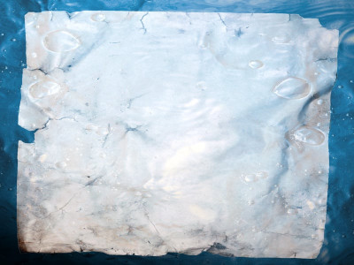 urban legend malevolent molecules urban legend malevolent molecules