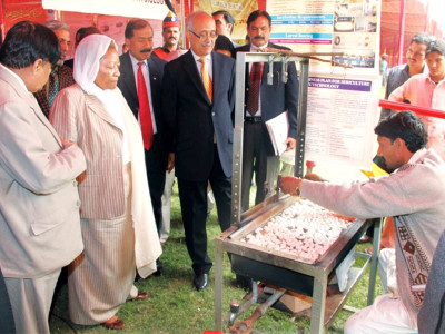 model college dmc students celebrate spring