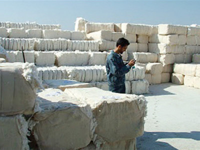 cotton production rises 9 cotton production rises 9
