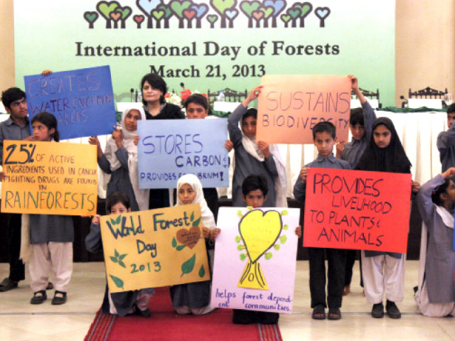 schoolchildren presented the advantages of having forests in a creative way photo waqas naeem express schoolchildren presented the advantages of having forests in a creative way photo waqas naeem express