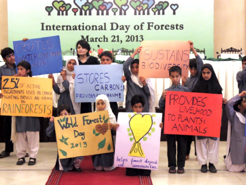 schoolchildren presented the advantages of having forests in a creative way photo waqas naeem express