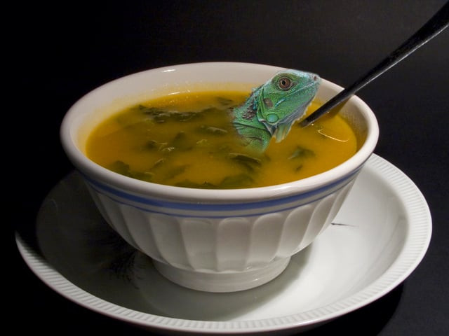 soup consists of meat from black spiny tailed iguana brains bone marrow bull testicles and shellfish photo file soup consists of meat from black spiny tailed iguana brains bone marrow bull testicles and shellfish photo file