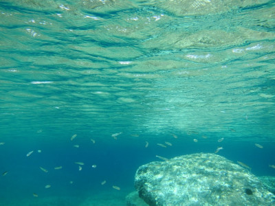 water scarcity 1 100 ponds in cholistan need cleaning water scarcity 1 100 ponds in cholistan need cleaning