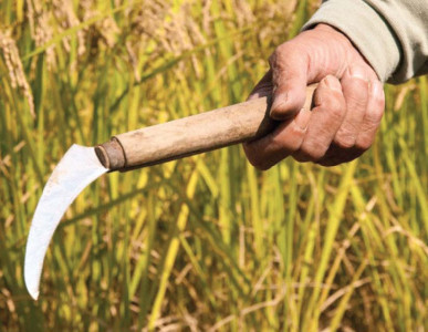 unproductive farms report to be presented today unproductive farms report to be presented today