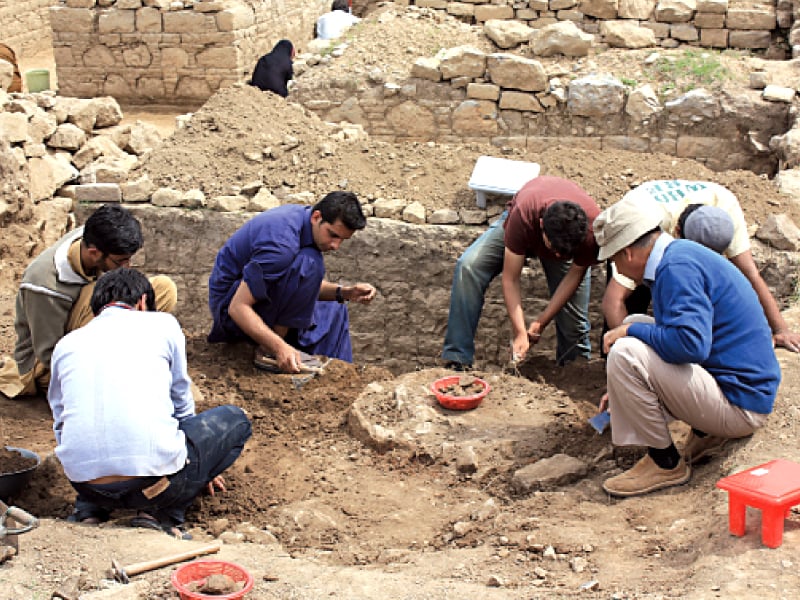 a total of 200 students of masters level and higher are taking turns participating in the excavation photo express