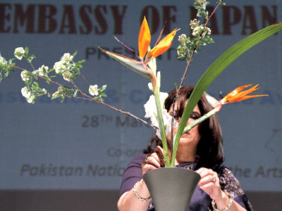 creative expression flower arrangement art kept alive