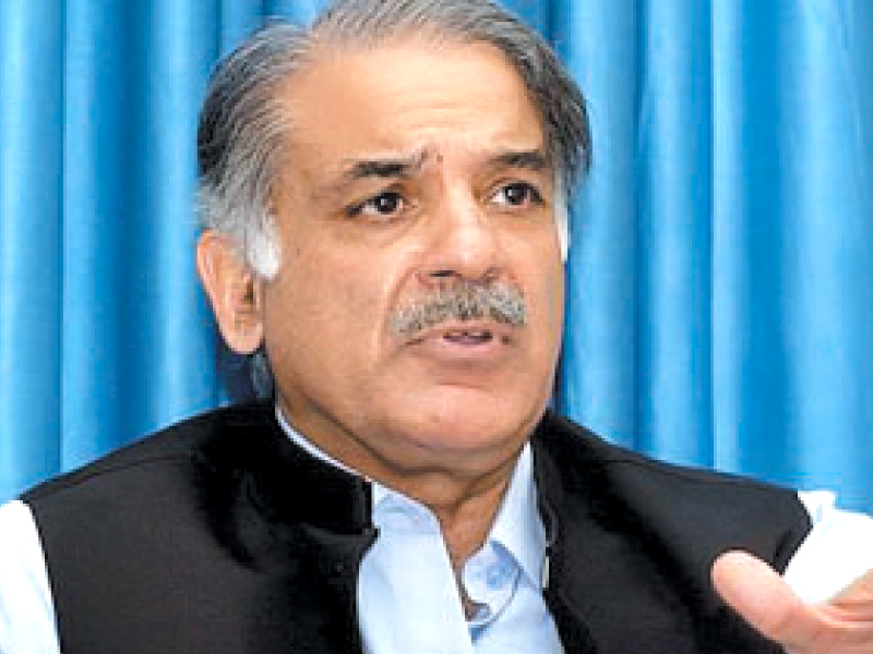 the party has advised shahbaz to contest the election from various cities across punjab photo file