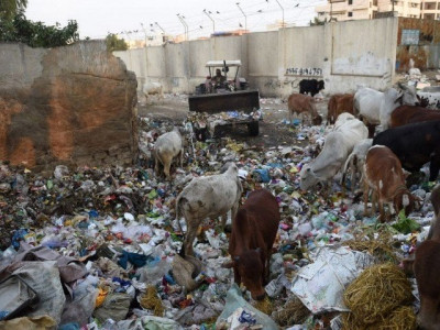 ppp claims to be cleaning up karachi but the looming stench in the city claims otherwise