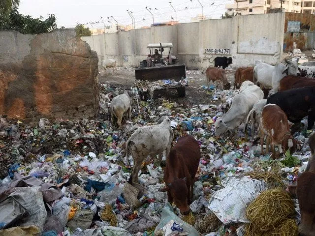 pakistan 039 s karachi a megacity of 20 25 million people produces roughly 12 000 tonnes of trash daily pakistan 039 s karachi a megacity of 20 25 million people produces roughly 12 000 tonnes of trash daily photo afp pakistan 039 s karachi a megacity of 20 25 million people produces roughly 12 000 tonnes of trash daily pakistan 039 s karachi a megacity of 20 25 million people produces roughly 12 000 tonnes of trash daily photo afp