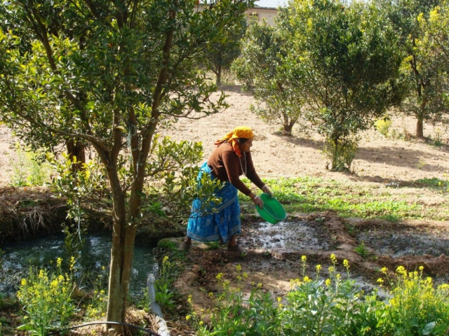 water shortages extreme temperatures grips nepal farmers worried it won t be long before it reaches pakistan photo shabbir mir water shortages extreme temperatures grips nepal farmers worried it won t be long before it reaches pakistan photo shabbir mir