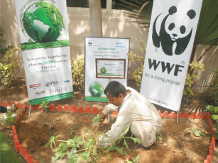 On 2 plantation drive, WWF-P plants trees at Patel Hospital