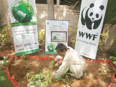 on day 2 of plantation drive wwf p plants five trees at patel hospital on day 2 of plantation drive wwf p plants five trees at patel hospital