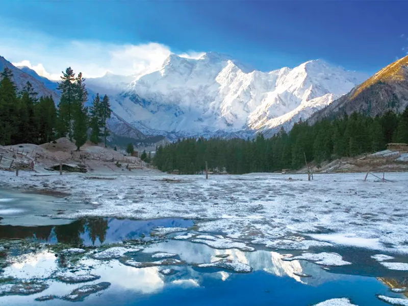 nanga parbat gracing the edges of fairy meadows is home to k 2 the second highest peak in the world photo fursid photography j mp fursidfb nanga parbat gracing the edges of fairy meadows is home to k 2 the second highest peak in the world photo fursid photography j mp fursidfb