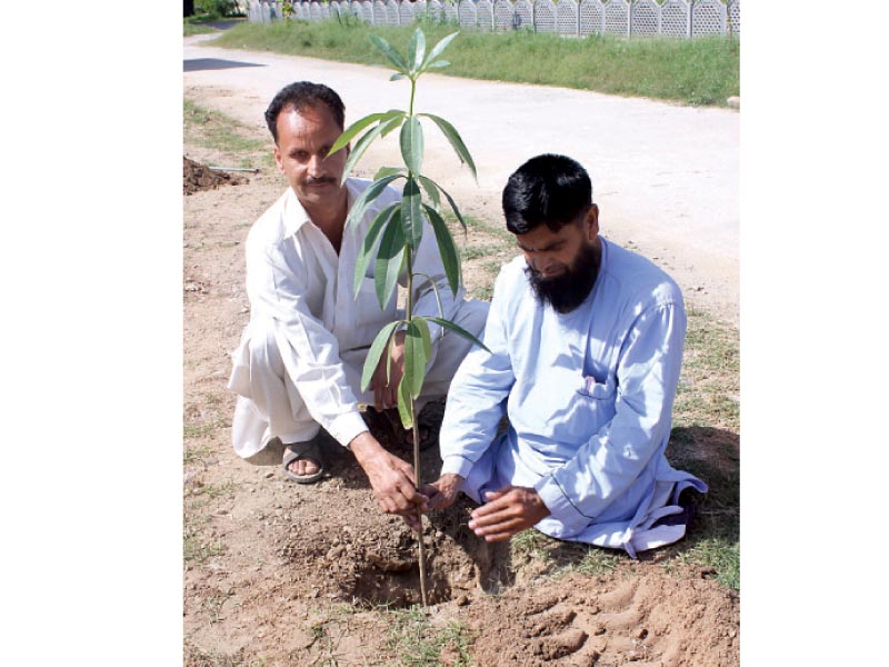 naik nazeer ahmed plants a sapling at the armed forces institute of rehabilitation medicine on thursday photo waqas naeem express