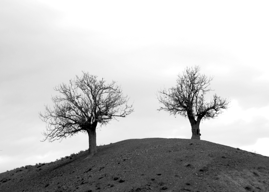 Updated Apr 24, 2013