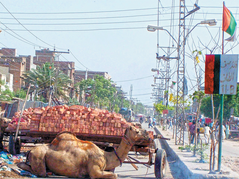 a camel cart was used to block the road in hyderabad during the day of mourning announced by muttahida qaumi movement over a deadly bombing which killed six people outside one of its election offices on thursday night photo inp