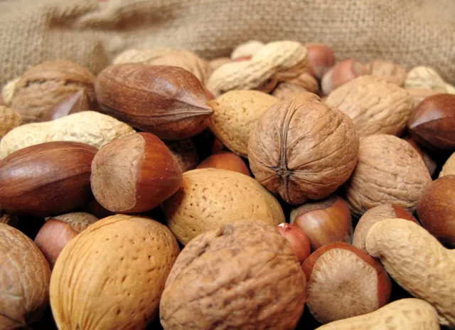 nuts may also suppress hunger because of their unsaturated fats fiber and protein the researchers noted photo file nuts may also suppress hunger because of their unsaturated fats fiber and protein the researchers noted photo file