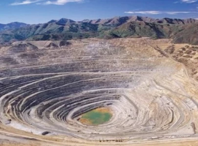 eib eyes shares in reko diq project