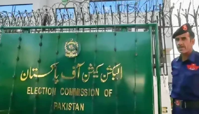 ecp turns up heat on k p islamabad over lg polls