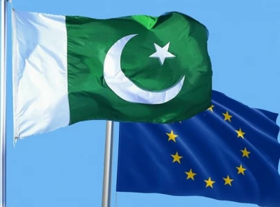 eu envoy says gsp comes with caveats
