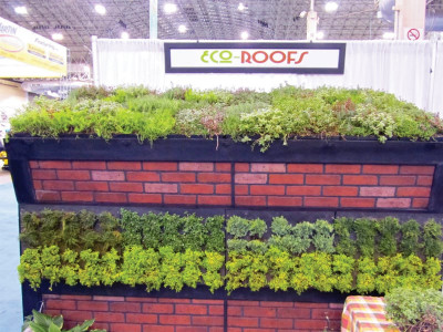 ivs students plan for a greener karachi