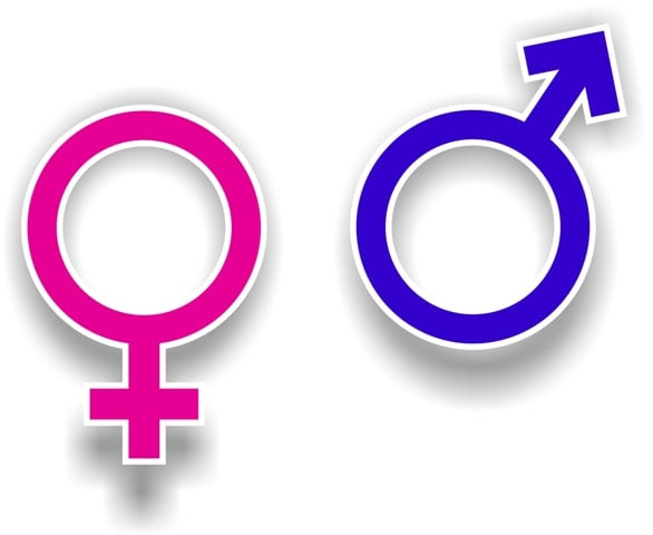 sabra bano director of gender concerns international will be heading the team of observers sabra bano director of gender concerns international will be heading the team of observers
