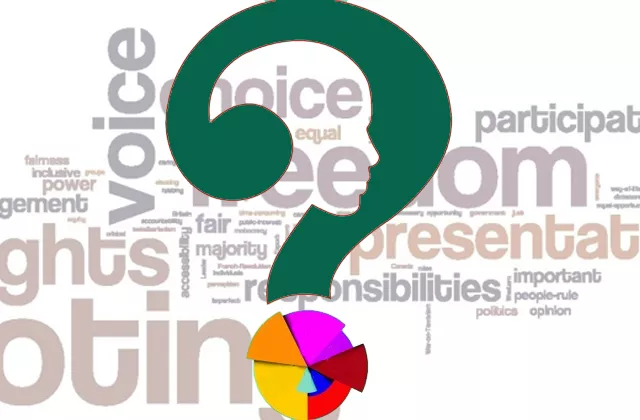 pti had shifted political discourse forcing more of a focus on young people analyst photo file pti had shifted political discourse forcing more of a focus on young people analyst photo file