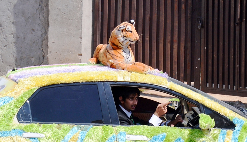 supporters of pakistan muslim league nawaz pml n attend a rally along with a stuffed tiger photo afp