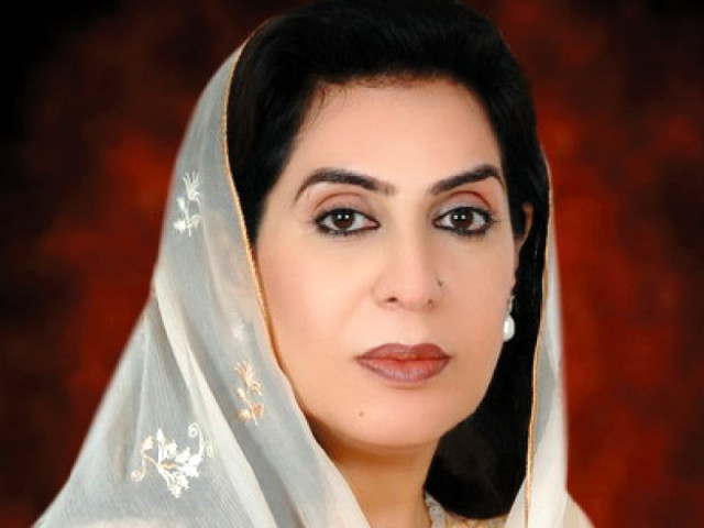 fehmida mirza photo file fehmida mirza photo file