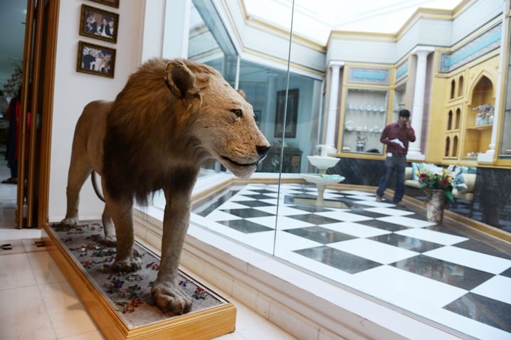 a lion adorns a hall way of pakistan 039 s incoming prime minister nawaz sharif 039 s farm house in raiwind in the outskirts of lahore on may 13 2013 photo afp