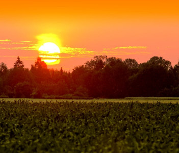 no relief in sight rising temperatures bring illnesses for many