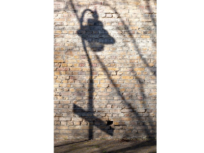 a new social contract let there be light