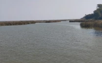 sindh s haleji lake faces ecological crisis