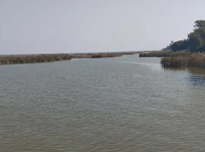 sindh s haleji lake faces ecological crisis